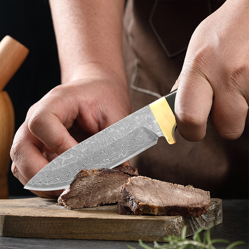 Damascus VG10 Steel Knife Wood - Meal Prep Japan review and price