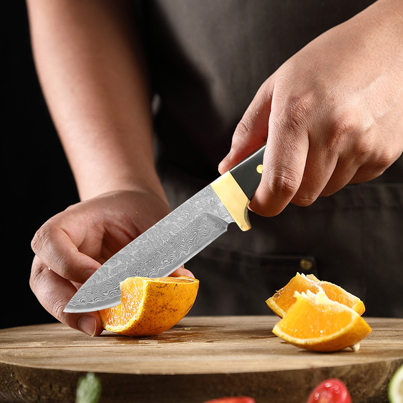 Damascus VG10 Steel Knife Wood - Meal Prep Japan review and price
