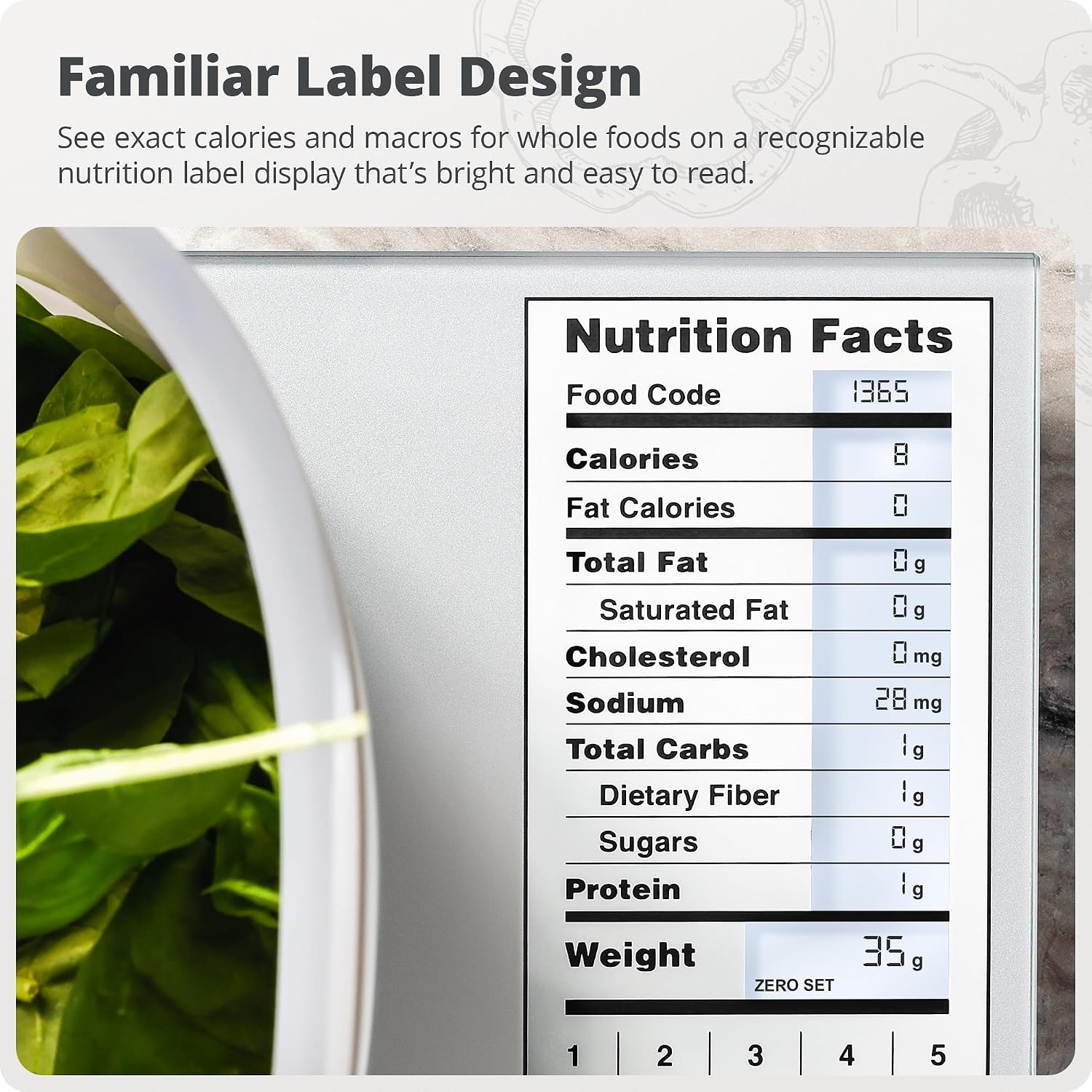 Kitchen Scale Stainless Steel  - Meal Prep Weight Loss review and price