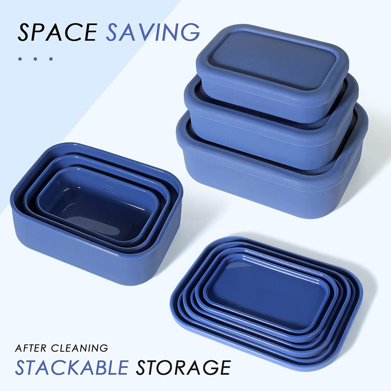 Leak-Resistant Bento Lunch Box - Meal Prep Ideas review and price