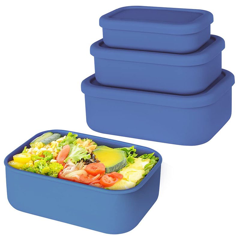 Leak-Resistant Bento Lunch Box - Meal Prep Ideas review and price