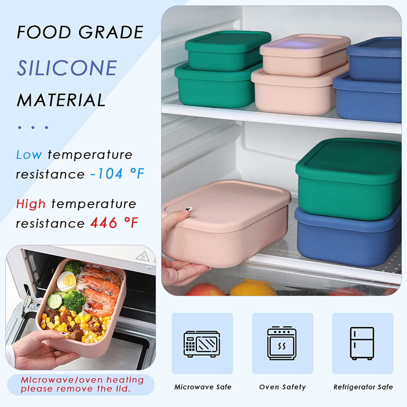 Leak-Resistant Bento Lunch Box - Meal Prep Ideas review and price