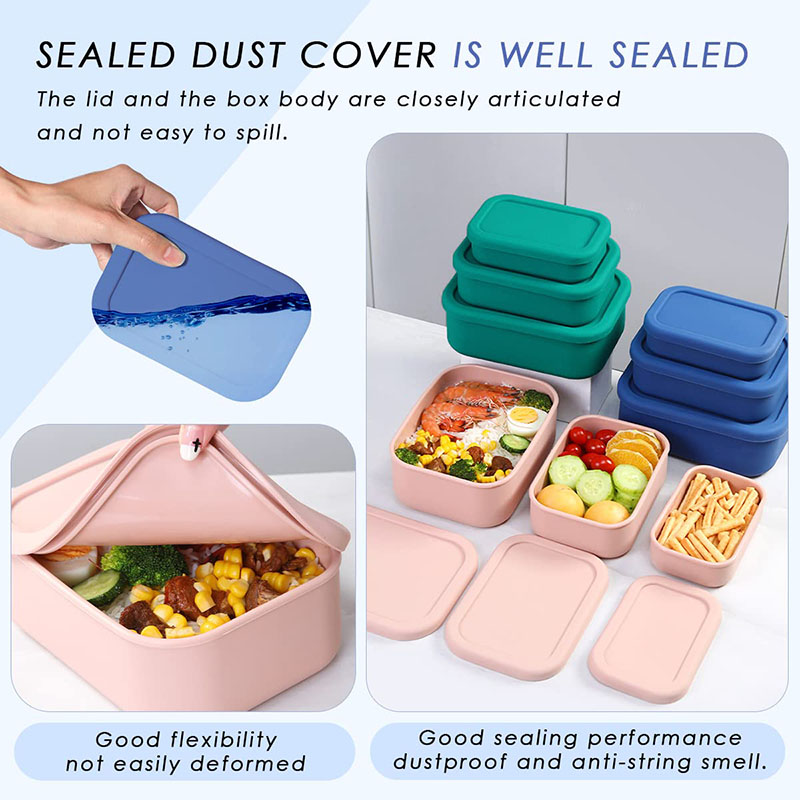 Leak-Resistant Bento Lunch Box - Meal Prep Ideas review and price